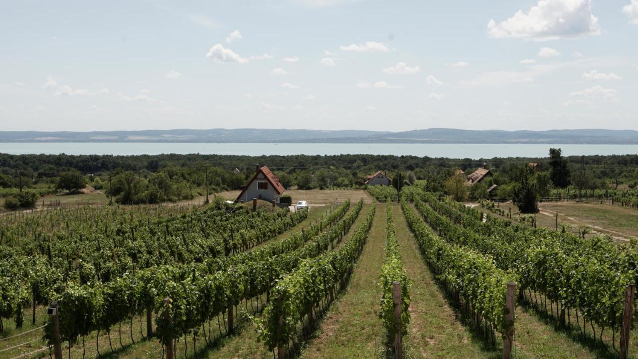 Fuerjes Udvarhaz Vászoly Exterior foto